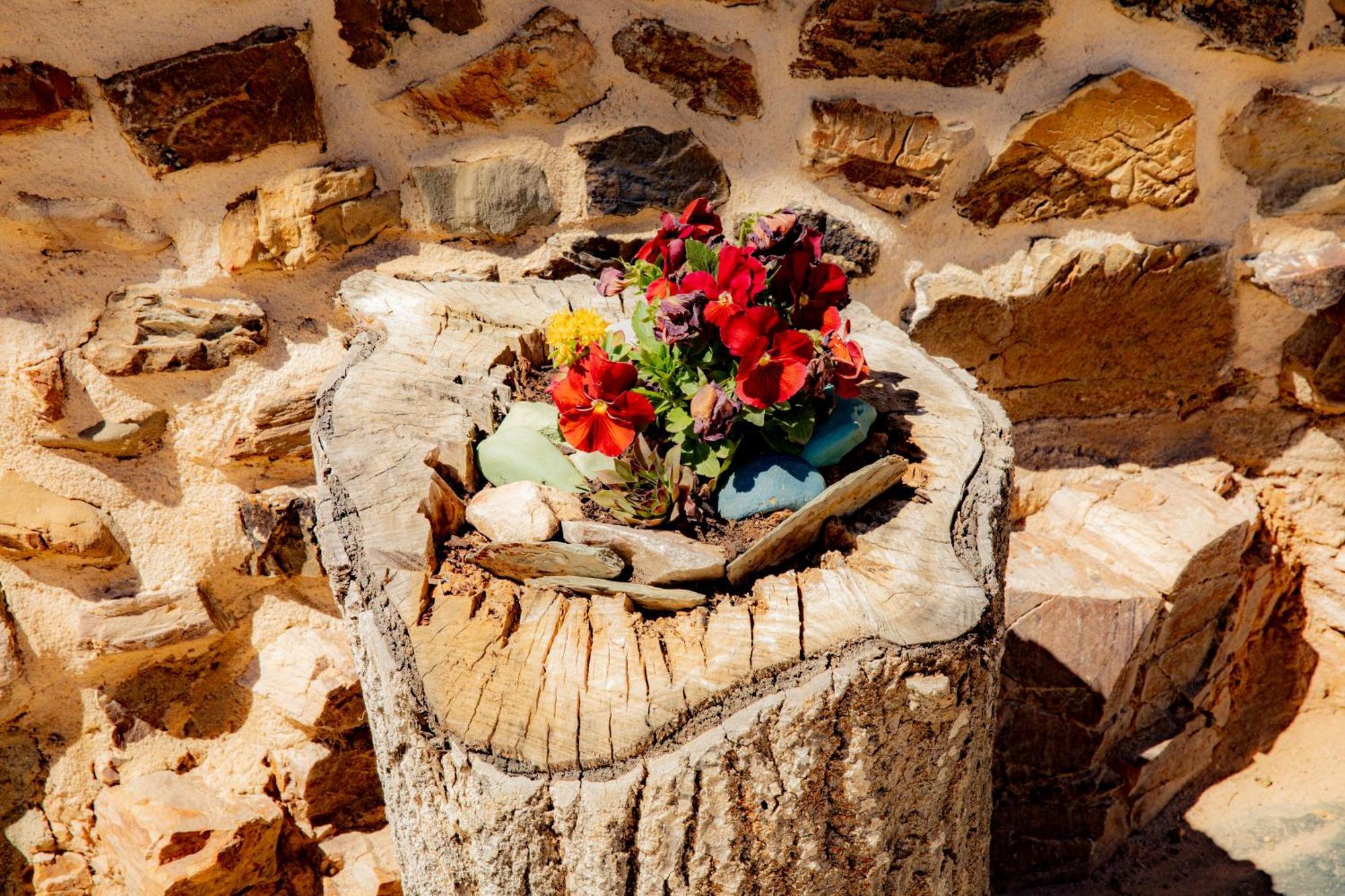 Via Avis Konuk evi Santa Catalina de Somoza Dış mekan fotoğraf